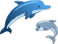 dolphin-3321762_1280