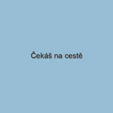 Čekáš na cestě