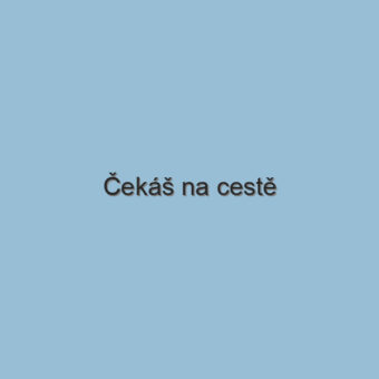 Čekáš na cestě