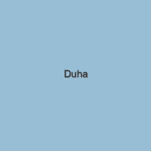 Duha