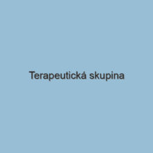 Terapeutická skupina