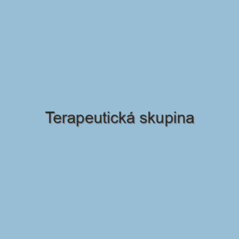 Terapeutická skupina